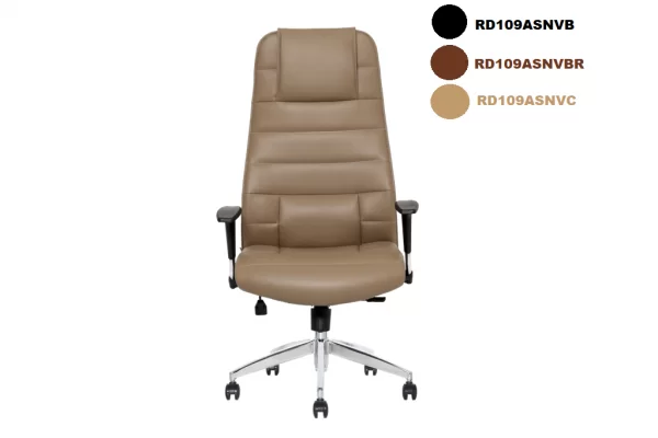 chaise de directeur